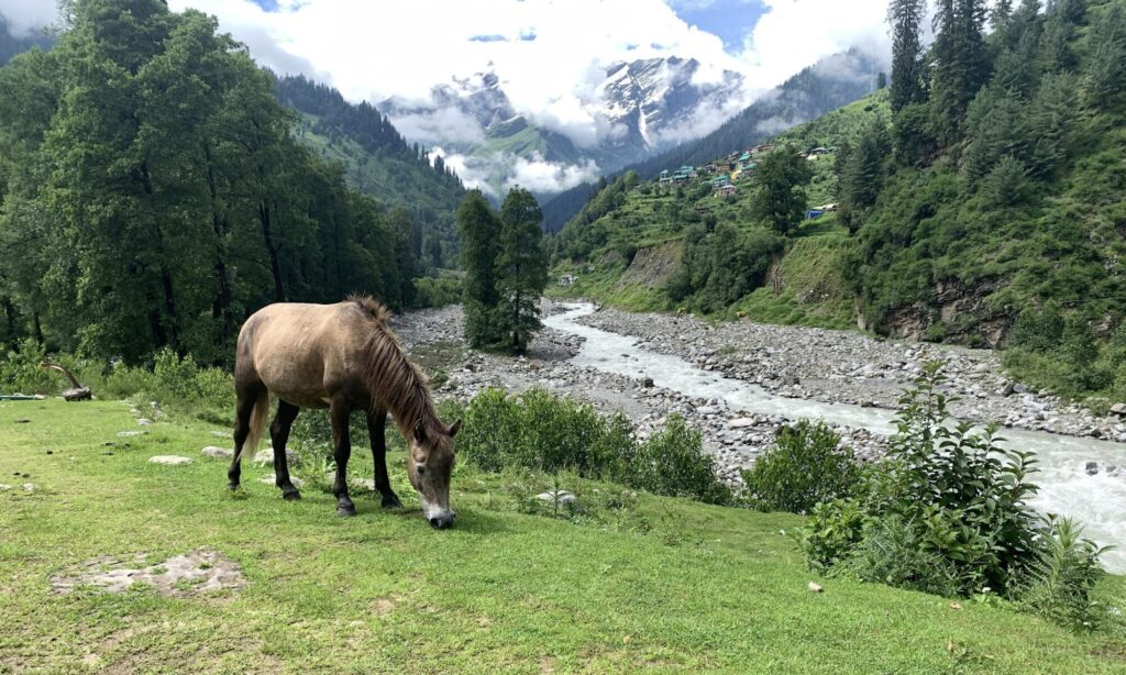 Bhrigu Lake in Manali