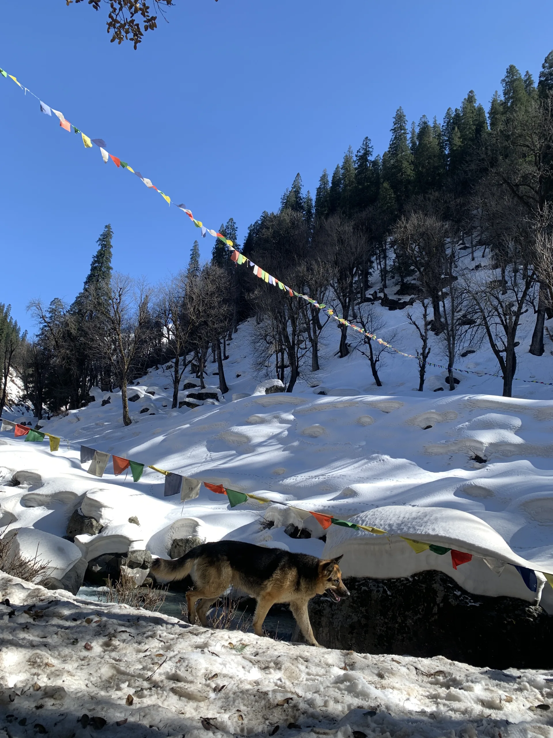 Trekking in Sethan Village, Hamta